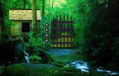 Gir Forest Escape - Screenshot 3