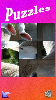 Puzzle - Screenshot 3