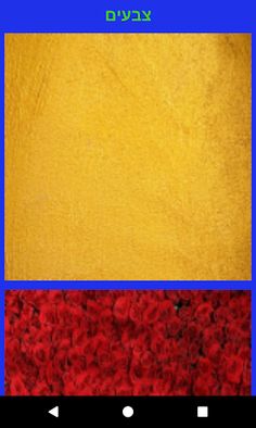 ללמוד אנגלית בכיף עם אריאל - Screenshot 3