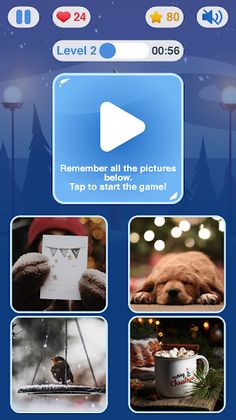 Memory Flashcards - Screenshot 4