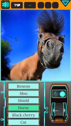 Piece Figs - Screenshot 4