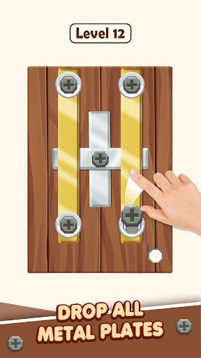 Bolt Master: Metal Nuts Puzzle - Screenshot 3