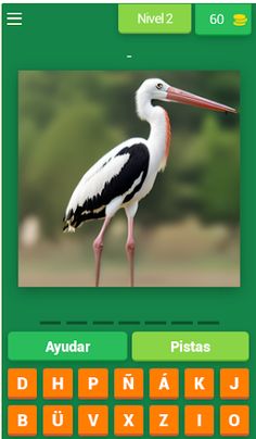 ZooQuizzy - Espanol - Screenshot 3