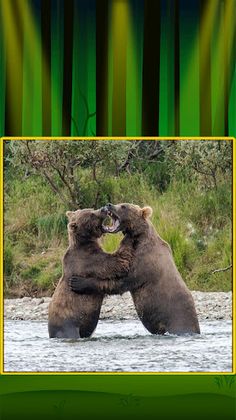 Animal Jigsaw Puzzle Game - Screenshot 4