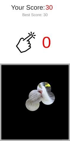 Picture Quiz - Screenshot 4