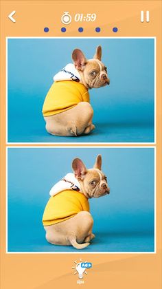 Spot The Differences 500 Photo - Screenshot 4