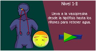 Rola Hormona - Screenshot 3