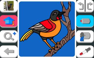 Birds of ZEALANDIA - Screenshot 1