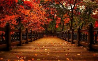 Autumn Puzzle - Screenshot 1