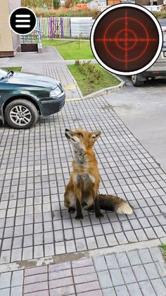 Pocket Beasts Catching Game - Screenshot 4