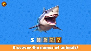 Animal Puzzles for Kids - Screenshot 3