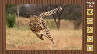 Picture Puzzle - Screenshot 3