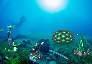 Room Escape Creepy Mystery - Screenshot 2