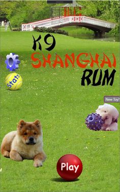 K9 Shanghai Rummy - Screenshot 1