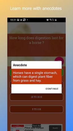 Foxkyz Quiz - Trivia - Screenshot 3