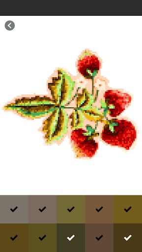Cross Stitch Art Coloring Book - Screenshot 3