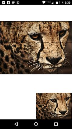 JigSaw - Screenshot 4