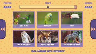 Qual é o Pássaro? (Adivinhe to - Screenshot 2