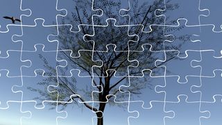 Opus Ludum - Screenshot 1