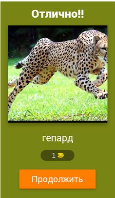 Угадай животный мир - Screenshot 2