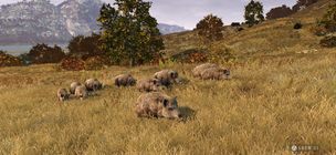 WOTH Europe: Try & Buy - Screenshot 1