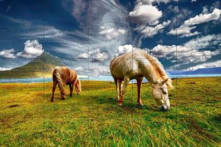 Horses jigsaw puzzles games - Screenshot 2