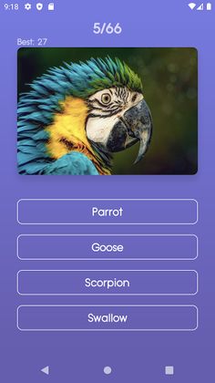 Animal Quiz - Screenshot 3