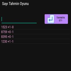 Sayı Tahmin Oyunu - Screenshot 2