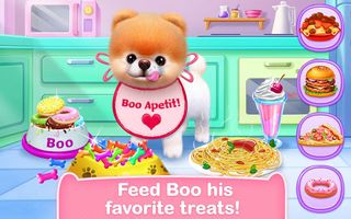 Boo - The World's Cutest Dog - Screenshot 2