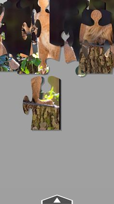 Fun Jigsaw Puzzle - Screenshot 1