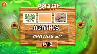 Pengenalan Jenis Kayu - Screenshot 3