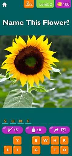 Garden Quiz: Identify Flowers - Screenshot 4