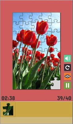 Amazing Jigsaws - Screenshot 3