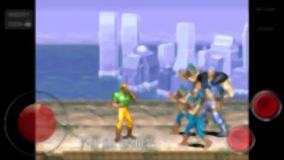 ARCADE EMULATOR - Screenshot 3