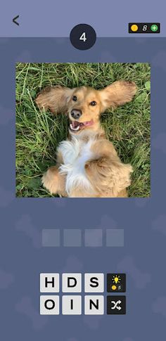 Guess The Dog Name - Screenshot 3