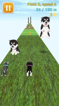 Cat Run - Screenshot 3