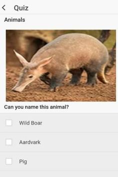 Zoo Animals Quiz - Screenshot 1