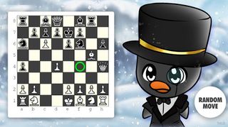 Chess Penguin - Screenshot 2