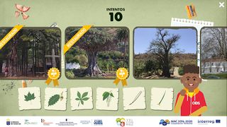 Hojitas - Screenshot 1