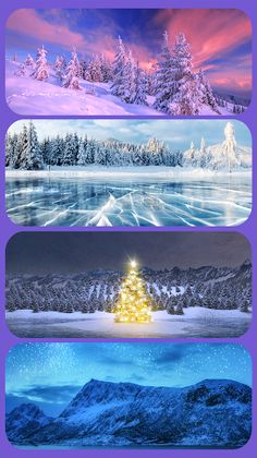 Words of Wisdom: Cross Wonders - Screenshot 3