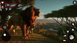 Wild Lion family simulator - Screenshot 3