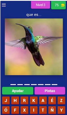 Quizz: juego de imágenes - Screenshot 3