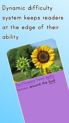 Chunky Sentences Variety Pack - Screenshot 2