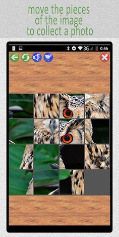 15:Birds Puzzle - Screenshot 3