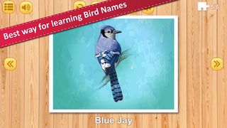 Jigsaw Birds Collection Puzzle - Screenshot 2