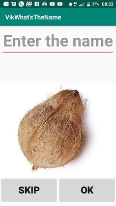 Vik Whats The Name?? - Screenshot 1