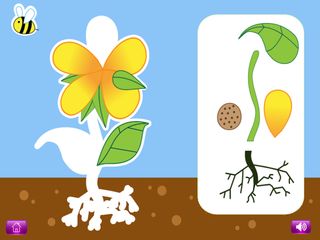 Naming Parts of Plants and Ani - Screenshot 1