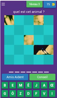 quizz animaux : jeu d'énigmes - Screenshot 4