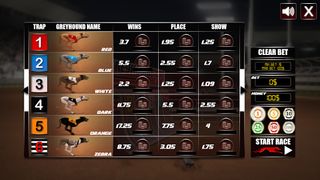 Dog Race - Screenshot 2