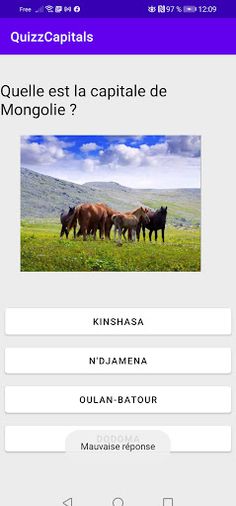 Quiz Capitales - Screenshot 4